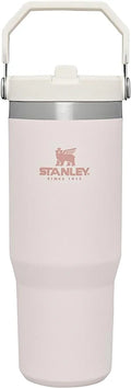 STANLEY Iceflow Stainless Steel Tumbler with Straw, Vacuum Insulated Water Bottle for Home, Office or Car, Reusable Cup with Straw Leak Resistant Flip